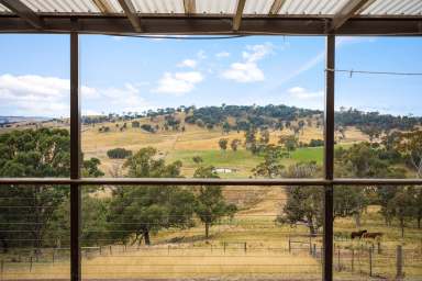 Farm For Sale - NSW - Tantawangalo - 2550 - Perfect Family Lifestyle Property  (Image 2)