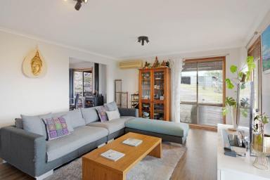 Farm For Sale - NSW - Tantawangalo - 2550 - Perfect Family Lifestyle Property  (Image 2)