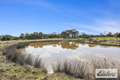 Farm For Sale - VIC - Maryborough - 3465 - Captivating Rural Lifestyle Property.  (Image 2)