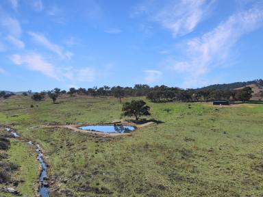 Farm For Sale - NSW - Wiagdon - 2795 - "Cheshire Park"  (Image 2)