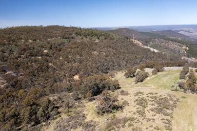 Farm For Sale - NSW - Burraga - 2795 - Suitable for Subdivision  (Image 2)