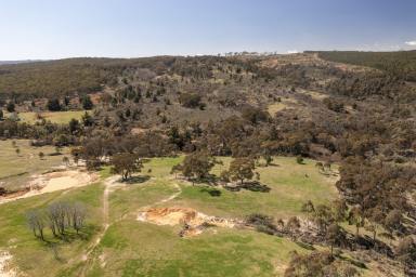 Farm For Sale - NSW - Burraga - 2795 - Suitable for Subdivision  (Image 2)