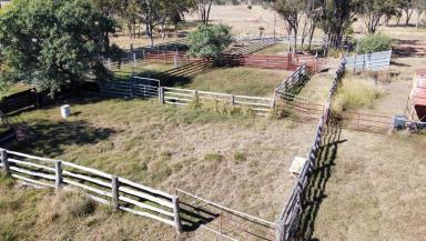 Farm For Sale - QLD - Cecil Plains - 4407 - Brystyne - Your Future in Grazing Excellence  (Image 2)