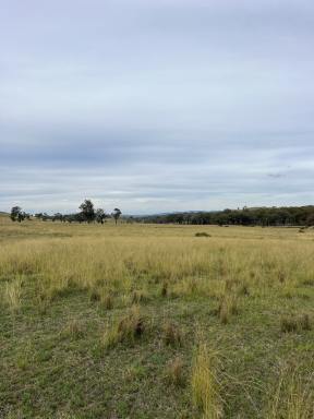 Farm For Sale - NSW - Yullundry - 2867 - Lifestyle and Grazing, All In One.  (Image 2)