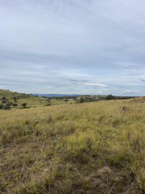 Farm For Sale - NSW - Yullundry - 2867 - Lifestyle and Grazing, All In One.  (Image 2)