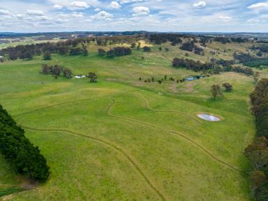 Farm For Sale - NSW - Oberon - 2787 - "Honeysuckle Springs" - Rural Gem on The Doorstep of Oberon  (Image 2)