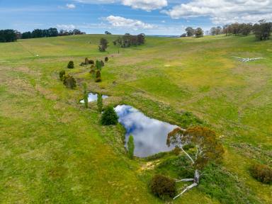 Farm For Sale - NSW - Oberon - 2787 - "Honeysuckle Springs" - Rural Gem on The Doorstep of Oberon  (Image 2)