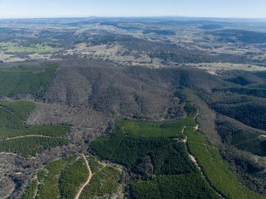 Farm For Sale - NSW - Wisemans Creek - 2795 - "Mountain Spirit"  (Image 2)