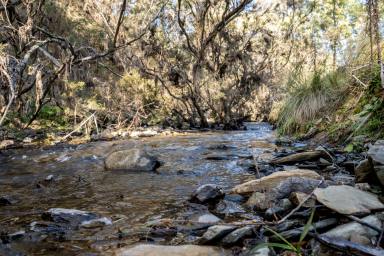 Farm For Sale - NSW - Wisemans Creek - 2795 - "Mountain Spirit"  (Image 2)