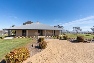 Farm For Sale - NSW - Blayney - 2799 - "Honeysuckle" - A Picturesque 200-Acre Gem with Panoramic Views  (Image 2)