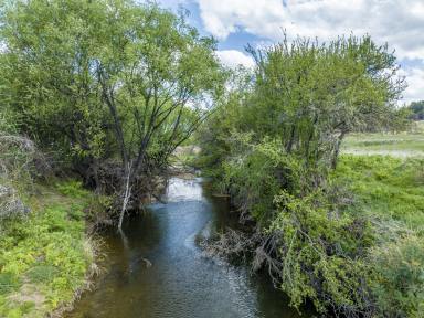 Farm For Sale - NSW - Oberon - 2787 - "Avalon"  (Image 2)