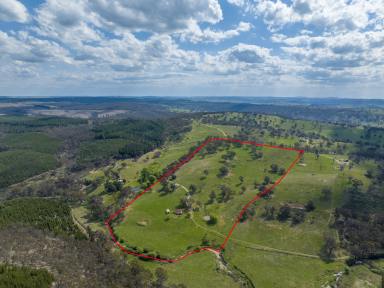 Farm For Sale - NSW - Oberon - 2787 - "Avalon"  (Image 2)