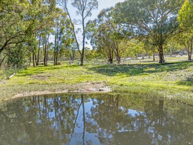 Farm For Sale - NSW - Wisemans Creek - 2795 - An Absolute Must See  (Image 2)