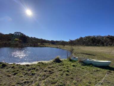 Farm Sold - NSW - Billywillinga - 2795 - Modern Home, great sheds, 34 lifestyle acres  (Image 2)