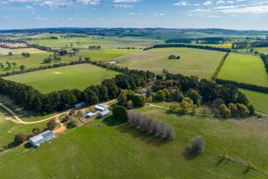 Farm For Sale - NSW - Barry - 2799 - "Waverleigh Park" - Top Shelf Grazing Country  (Image 2)