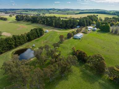 Farm Sold - NSW - Barry - 2799 - "Waverleigh Park" - Top Shelf Grazing Country  (Image 2)