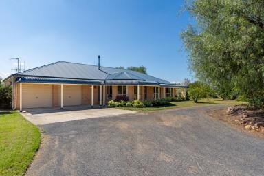 Farm For Sale - NSW - Cowra - 2794 - Rare Offering of 164acres* of Cropping/Grazing Country  (Image 2)