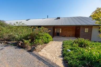 Farm For Sale - NSW - Canowindra - 2804 - Sustainable, Relaxed Country Living  (Image 2)