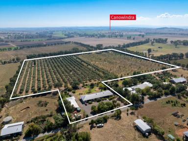 Farm For Sale - NSW - Canowindra - 2804 - Sustainable, Relaxed Country Living  (Image 2)