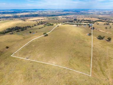 Farm Sold - NSW - Brewongle - 2795 - "Clifton Park" - One of the Most Unique Properties  (Image 2)