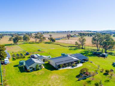 Farm For Sale - NSW - Woodstock - 2793 - Established Hobby Farm Offering Rural Tranquility  (Image 2)