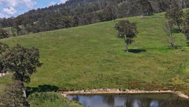 Farm For Sale - NSW - Kanimbla - 2790 - Breathtaking in all Respects  (Image 2)