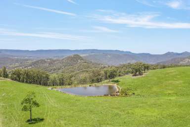 Farm For Sale - NSW - Kanimbla - 2790 - Breathtaking in all Respects  (Image 2)