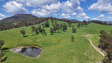 Farm For Sale - NSW - Kanimbla - 2790 - Breathtaking in all Respects  (Image 2)