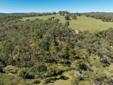 Farm For Sale - NSW - Isabella - 2795 - "Junction Hill"  (Image 2)