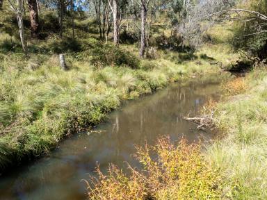 Farm For Sale - NSW - Isabella - 2795 - "Junction Hill"  (Image 2)