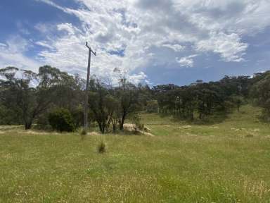 Farm For Sale - NSW - Isabella - 2795 - "Junction Hill"  (Image 2)