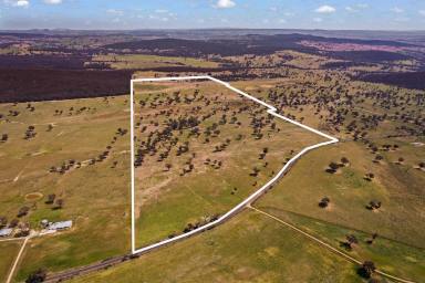 Farm For Sale - NSW - Bathurst - 2795 - 'Tannas Springs' - Sought after location  (Image 2)