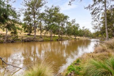 Farm Auction - NSW - Bathurst - 2795 - Country Escape on the Macquarie River  (Image 2)