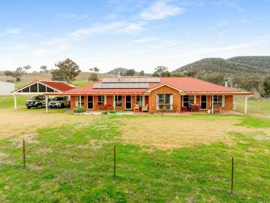 Farm Auction - NSW - Bathurst - 2795 - Country Escape on the Macquarie River  (Image 2)