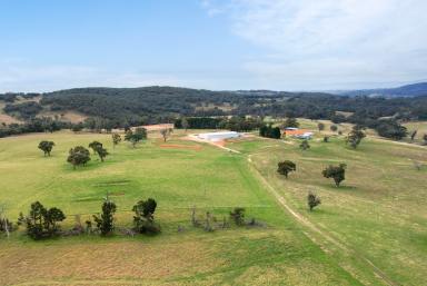 Farm For Sale - NSW - Caloola - 2795 - We Are Moving, Property Destocked, Time to Sell  (Image 2)