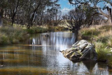 Farm For Sale - NSW - Caloola - 2795 - We Are Moving, Property Destocked, Time to Sell  (Image 2)