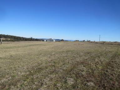 Farm Sold - NSW - Woodstock - 2793 - Rural Retreat or Build Your Dream Home  (Image 2)