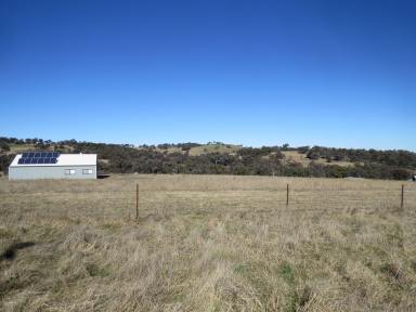 Farm Sold - NSW - Woodstock - 2793 - Rural Retreat or Build Your Dream Home  (Image 2)