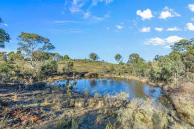 Farm Sold - NSW - Lewis Ponds - 2800 - Serene Country Escape  (Image 2)