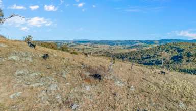 Farm Sold - NSW - Lewis Ponds - 2800 - Serene Country Escape  (Image 2)