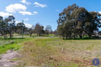 Farm For Sale - NSW - Rye Park - 2586 - Village Living With Room To Move  (Image 2)