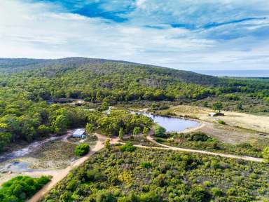 Farm For Sale - TAS - Great Bay - 7150 - The Land of Opportunity at Great Bay on Bruny Island, 164 acres !  (Image 2)