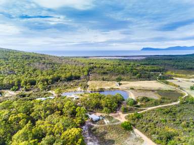 Farm For Sale - TAS - Great Bay - 7150 - The Land of Opportunity at Great Bay on Bruny Island, 164 acres !  (Image 2)