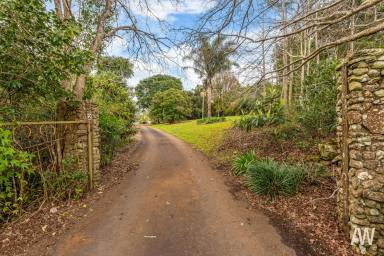 Farm For Sale - QLD - Maleny - 4552 - Maleny Magic: Privacy, Peace, Potential!  (Image 2)