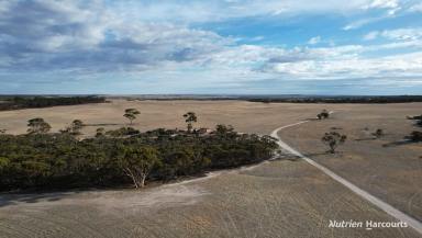 Farm For Sale - WA - Pingaring - 6357 - Broadacre Farm Lease  (Image 2)