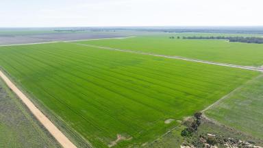 Farm Expressions of Interest - NSW - Deniliquin - 2710 - A Spray Irrigation Powerhouse  (Image 2)