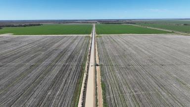 Farm Expressions of Interest - NSW - Deniliquin - 2710 - A Spray Irrigation Powerhouse  (Image 2)