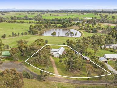 Farm For Sale - VIC - Tallarook - 3659 - Your Dream Farm with Rural Retreat Awaits!  (Image 2)