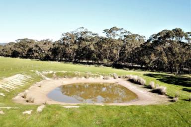 Farm For Sale - WA - Takalarup - 6324 - Escape to the Country and Enjoy Country Living  (Image 2)