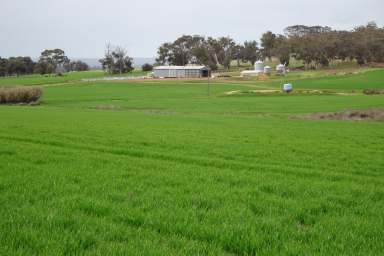 Farm For Sale - WA - Lol Gray - 6311 - Premium Location Opportunity  (Image 2)